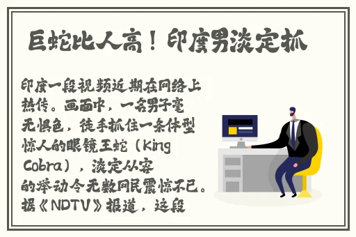 欧美码.中文字精品视频在线观看